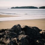 Home Voluptate et iste quia voluptatem adipisci
