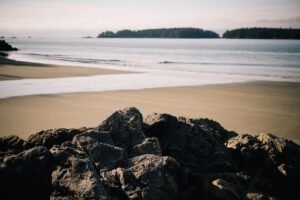 Home Voluptate et iste quia voluptatem adipisci